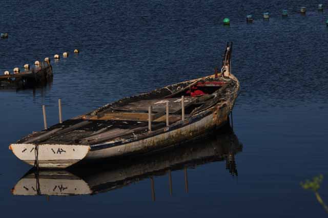 Tomales Bay